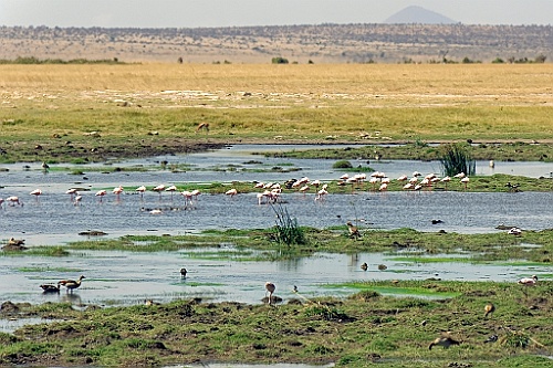 Kenia (239)